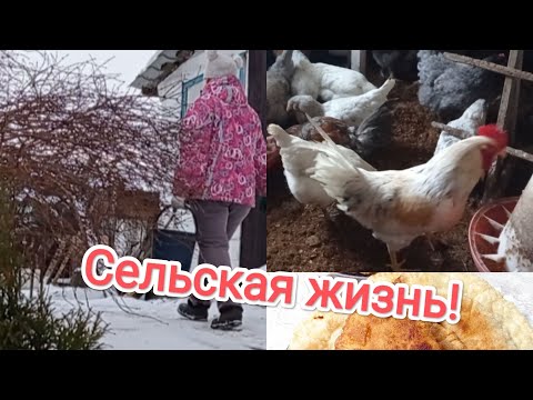 Видео: Жизнь женщины в селе/Тяжело и радостно. БЛИНЫ. ЧЕБУРЕКИ. ЗЕФИР.