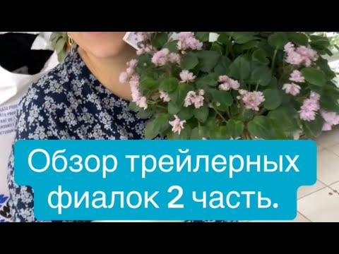 Видео: Обзор трейлерных деток 2 часть ! 