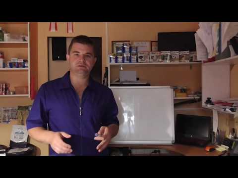 Видео: Стафф- охранник или лизучая няшка?