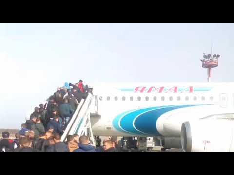 Видео: Сабетта