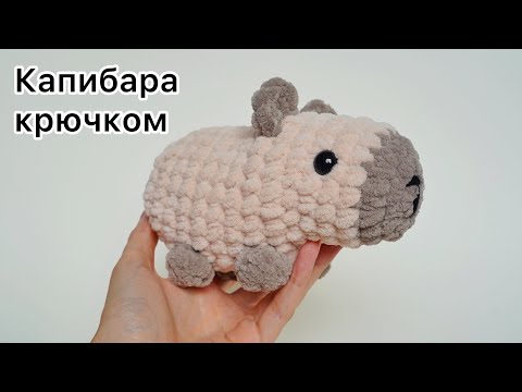 Видео: Милая капибара. Мастер класс