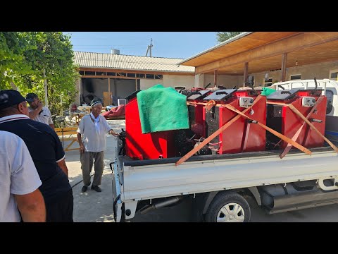 Видео: Сезон авжида шошиламиз +998905898573+998950888573