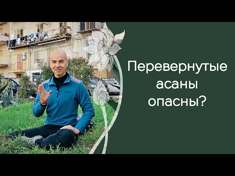 Видео: Полезны или вредны вам перевернутые асаны: главное о подходах
