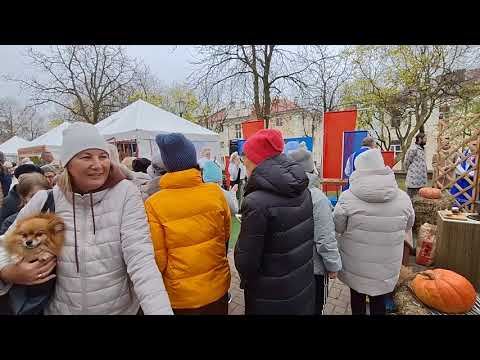 Видео: ДОЖИНКИ - ВИТЕБСКИЙ РАЙОН - ПОЛОЦК