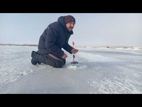 Видео: Открытие зимней рыбалки Астана, день второй.