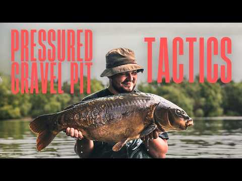 Видео: Ловля труднопоймаемого карпа!