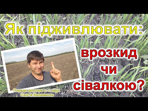 Видео: Як підживлювати: врозкид чи сівалкою?