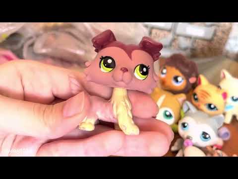 Видео: LPS: Unboxing #6 [Большая посылка с петами]