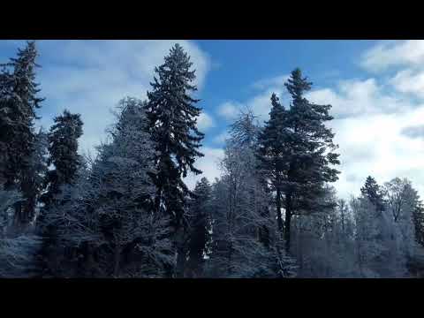 Видео: Латвийская глубинка #1  Старинный парк. Алуксне