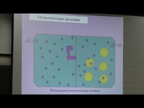 Видео: Носов А. М. - Физиология растений I - 10. Водный обмен растений