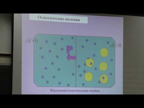 Видео: Носов А. М. - Физиология растений I - Водный обмен растений