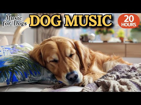 Видео: 24 часа успока-ивающей музыки для собак🐶💖Музыка для собак, боящихся грозы🦮🎵Для безопасности