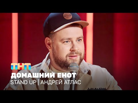 Видео: Stand Up: Андрей Атлас - домашний енот @TNT_television