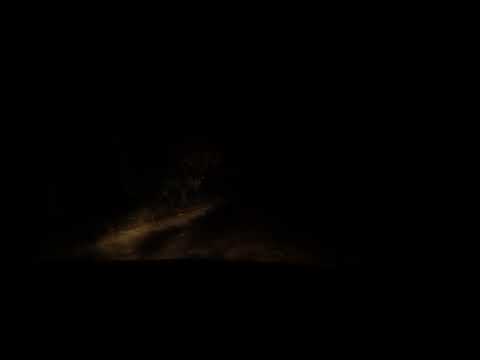 Видео: 29 октября 2025 г.