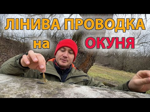 Видео: ЛІНИВА не ХИТРА ПРОВОДКА на ОКУНЯ / зимові силіконові приманки / рибалка на спінінг