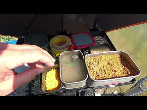 Видео: Рыбалка на реке Маныч. Батл!