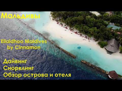 Видео: Мальдивы. Дайвинг, снорклинг и обзор острова Ellaidhoo Maldives.