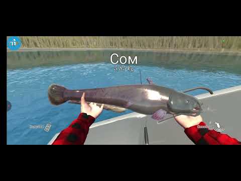 Видео: 22 липня 2025 р.