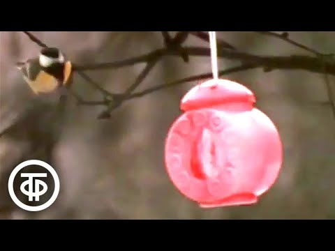 Видео: Зимняя зарисовка. Москва (1983)