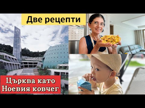 Видео: Църква стил Ноевия Ковчег 🤔 Каша от моркови и кюфтенца от тиквички и тофу . Игри с Лиа 🥰