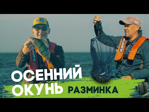 Видео: Осенний окунь  Разминка