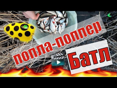 Видео: ПОПЛА-ПОППЕР. Батл живой против искусственного.ПОДВОДНАЯ СЪЕМКА.Рыбалка на ПОПЛА-ПОППЕР.Красноперка.