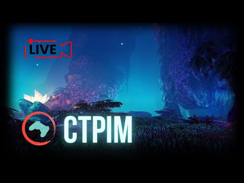 Видео: СТРІМ ПО PEAK