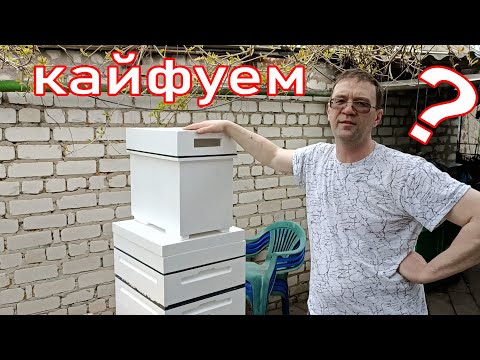 Видео: ПЕНОУЛИК В ЧЁМ КАЙФ?