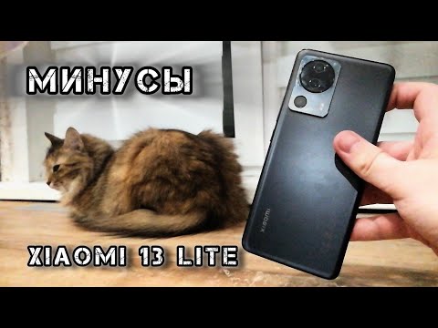 Видео: ВСЕ МИНУСЫ Xiaomi 13 lite на мой взгляд спустя 2 года использования!