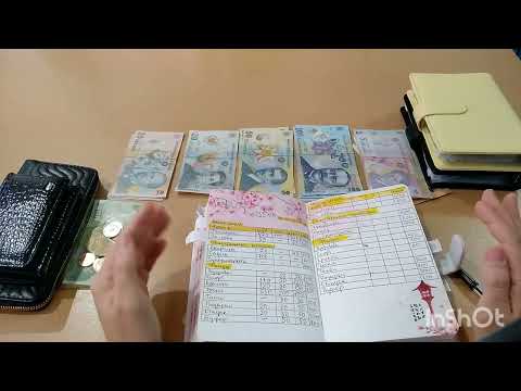 Видео: #3 Cash envelope | Деньги по конвертам 4000 RON Распределение бюджета 17.10-23.10