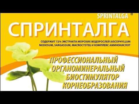 Видео: Спринталга (SPRINTALGA) - Biolchim, Италия