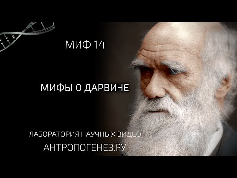 Видео: Мифы о Дарвине. Из серии "Мифы об эволюции человека".