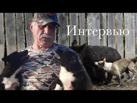 Видео: Интервью с Борисёнком•вольеры•проблемы элиты•димломы