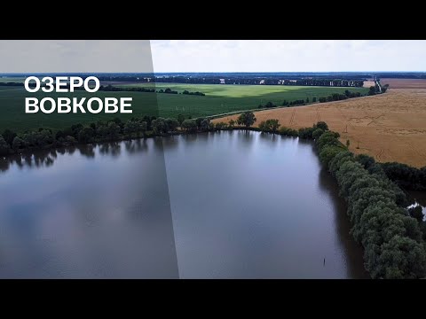 Видео: Риболовля з підписником / Побили всі рекорди / Великий короп ледь не зламав вудку