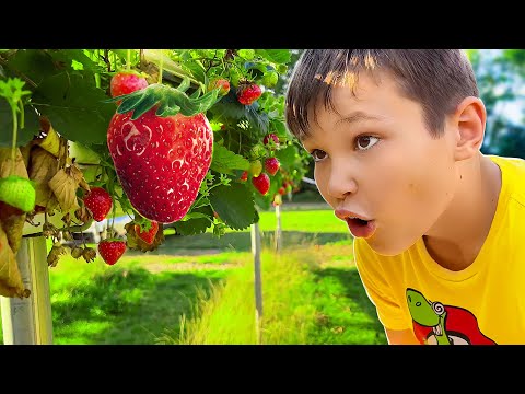Видео: 24 часа на ферме