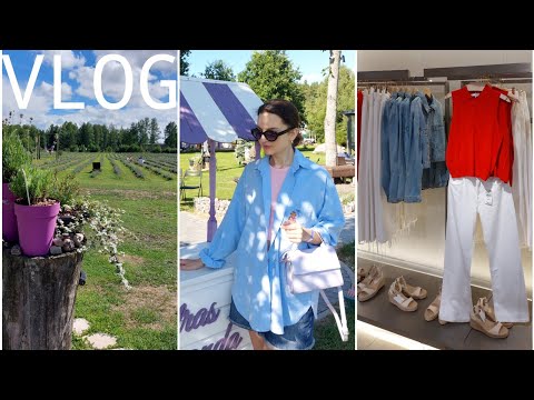 Видео: VLOG. Рига, лавандовое поле, покупки Aliexpress и пробежка по магазинам 💜