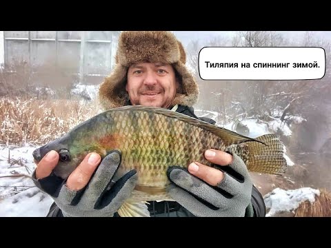 Видео: Рыбалка в Удомле. Тилапия на спиннинг, зимой.