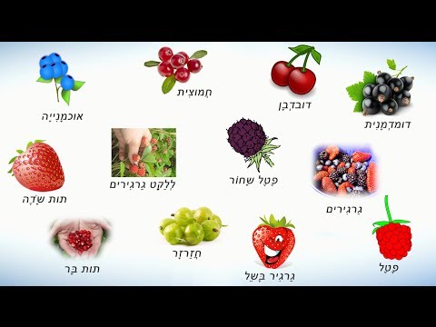 Видео: Ягоды на иврите. Учим названия ягод на иврите