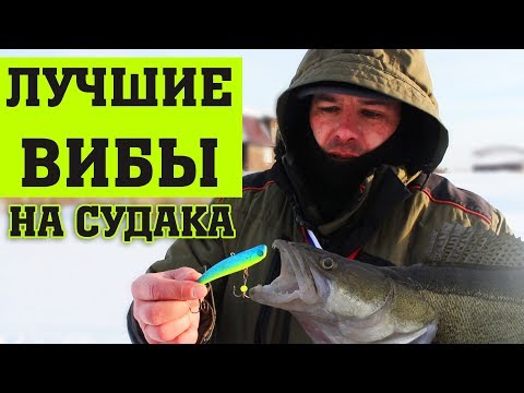 Видео: ЛУЧШИЕ ВИБЫ НА СУДАКА. Ловля судака зимой на раттлин. Как поймать судака на виб. Kamfish