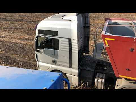 Видео: Уборка Подсолнуха 2020! КЗС 9.1 СЛАВУТИЧ И MAN TGX а также МТЗ 892