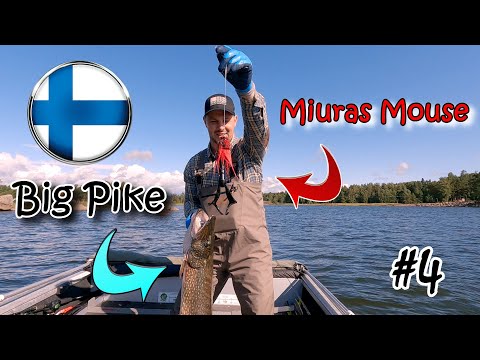 Видео: Забросил MIURAS MOUSE и ХАПНУЛА МАМА! 🎣 РЫБАЛКА в ФИНЛЯНДИИ 🎣 SUUR KOLL käes!
