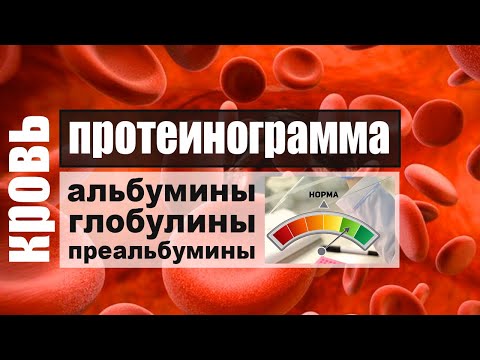Видео: Протеинограмма. Белковые фракции крови: альбумины, глобулины, преальбумины