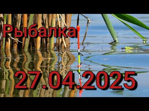 Видео: Рыбалка на поплавок 27 апреля 2025 г. на реке! КРУПНЫЙ КАРАСЬ ДУРЕЕТ ОТ ЭТОЙ ПРИКОРМКИ! Рыбалка 2025