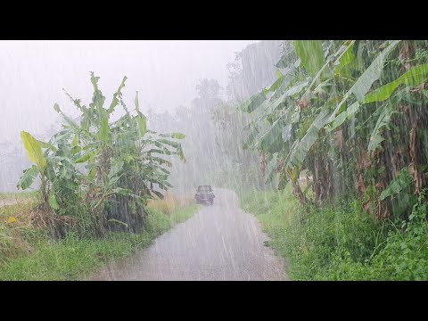 Видео: ДЕНЬ, КОГДА ШТОРМ РАЗЫПИЛСЯ‼️ УЖАСАЮЩИЙ ШТОРМ РАЗРАЗИЛСЯ СНОВА