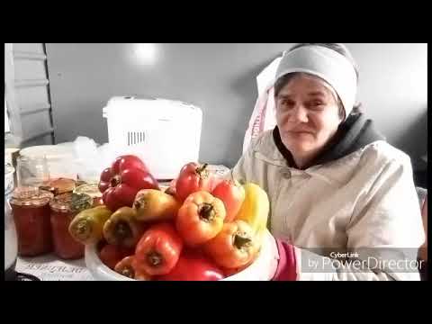 Видео: Вспомнила студенческие годы / Жизнь в селе.