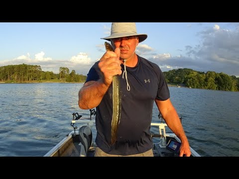 Видео: Если вы решите повесить это на крючок, будьте готовы!