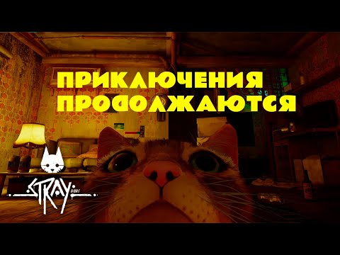 Видео: ВСТРЕЧА С РОБОТАМИ - Stray #2