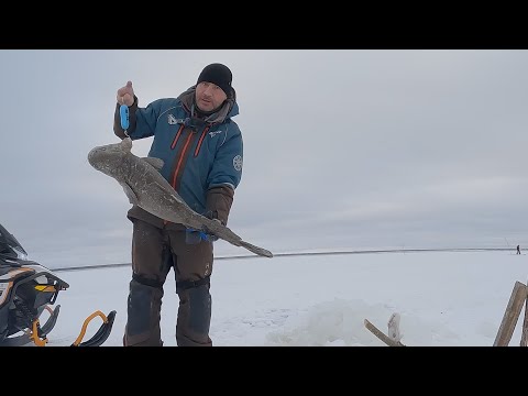 Видео: Проверка перемета от А до Я | 04.11.2025