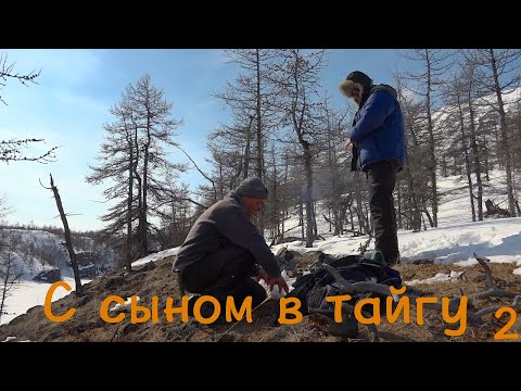 Видео: С сыном в тайгу 2. Плато Путорана / Bushcraft in Siberia / Сибирь