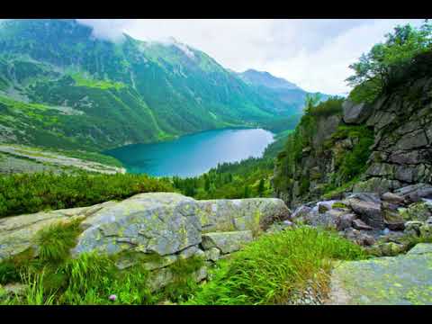 Видео: Одамӣ